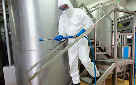 asesoria tecnica galeria detyse (4)